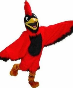 Mask US Cardinal Mascot Costume BIRD MASCOTS