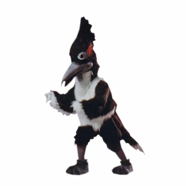 Alinco Costumes Road Runner Mascot Costume 3 Alinco Costumes Road Runner Mascot Costume