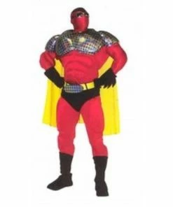 Alinco Costumes Super Hero Mascot Costume