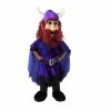 Alinco Costumes Friendly Viking Mascot Costume
