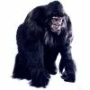 Alinco Costumes Simian Gorilla Mascot Costume