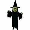 Mask US CHARACTER MASCOTS Witch Lightweight Mascot Costume