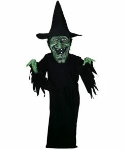 Mask US CHARACTER MASCOTS Witch Mascot Costume